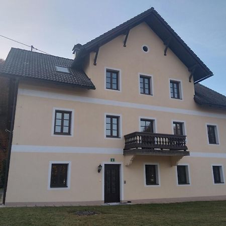Ferienwohnungen Viktoria Buchegger Gruenau im Almtal Exterior photo
